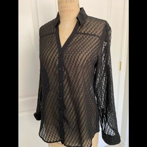 See Through Express Blouse